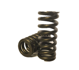 6.7l SCORPION Valve Springs. CA Excl.