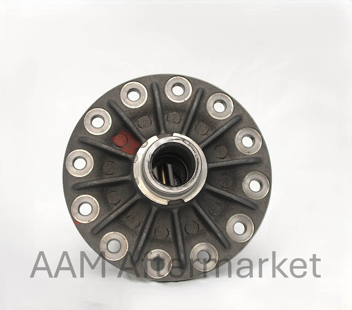 AAM Limited Slip Differential (3.73/4.10/4.44) - Ram 2014+ 40089797