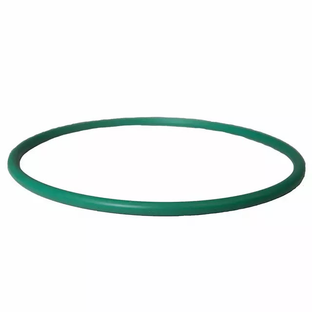 Fuel Sender Unit Gasket - Ford (4L3Z-9276-AA)
