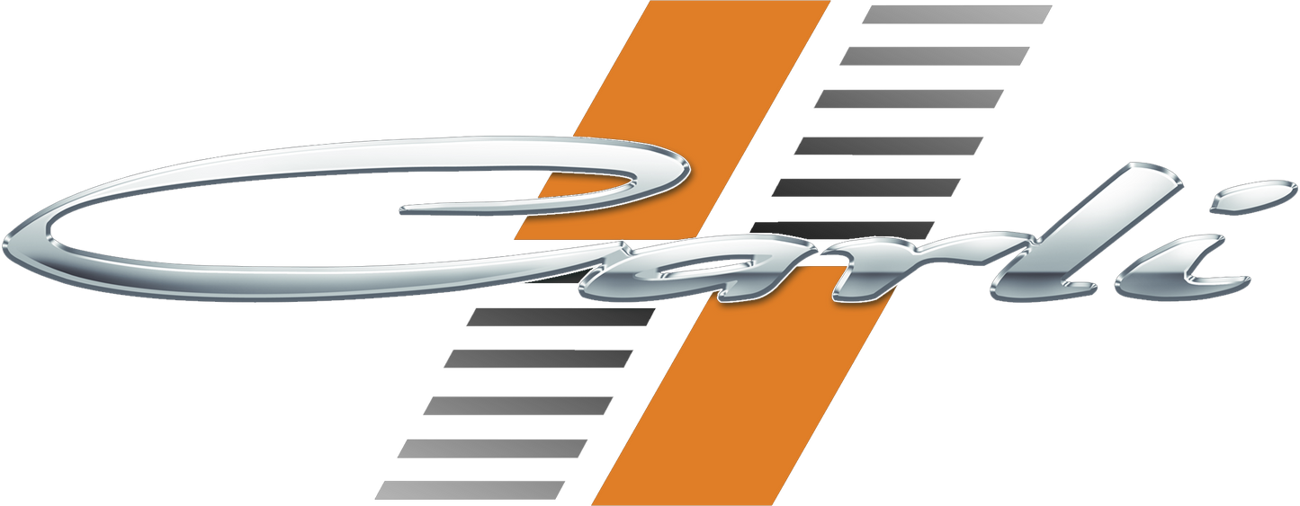 OFFICIAL CARLI LOGO.png