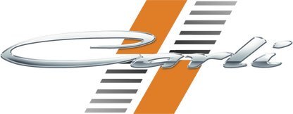 OFFICIAL CARLI LOGO.png