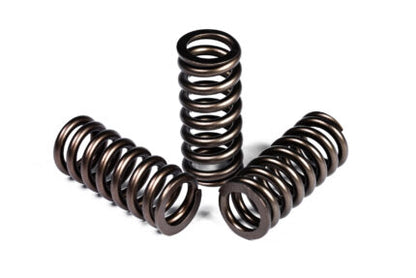 HD 6.0-6.4 Valve Springs. CA Excl.
